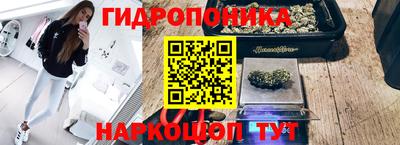 Альфа ПВП Кузнецк