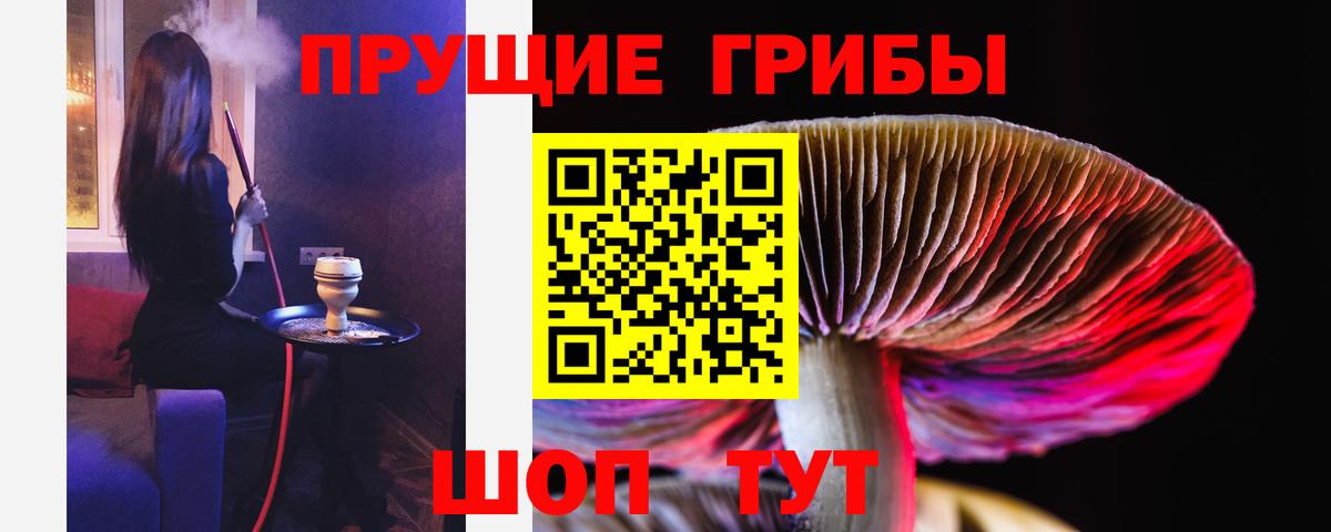 Псилоцибиновые грибы ЛСД Урюпинск