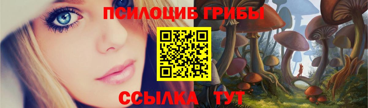 купить наркотик  Псилоцибиновые грибы GOLDEN TEACHER  Урюпинск  Галлюциногенные грибы Psilocybine cubensis 